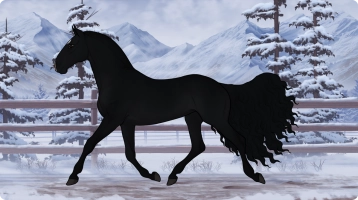 1743 PMH Raven's Star Thumbnail