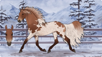 4046 Stir Fry Thumbnail