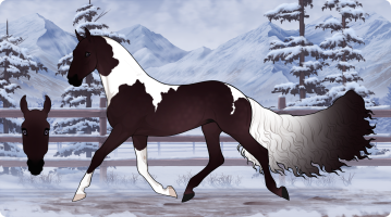 Thumbnail for 4340 JSS Holding Rare Flowers