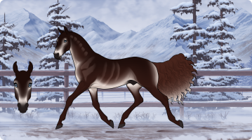 Thumbnail for 3943 Wolves' Claws