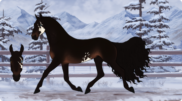 Thumbnail of 3894 Hross
