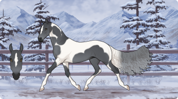 Thumbnail image for 5424 VIA Aspen In Autumn