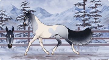 Thumbnail for 5290 CMA Lamb's Wool