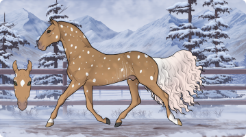 Thumbnail for 1430 First Snow