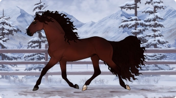 1434 Mahogany Dream