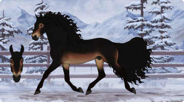 1435 Black Sun Thumbnail