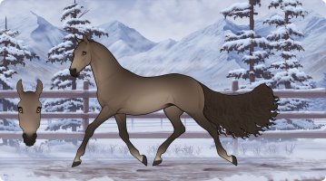 Thumbnail for 4975 Wilted Roses