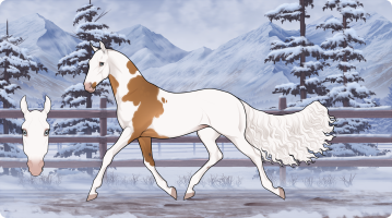 Thumbnail image for 4570 Marmalade