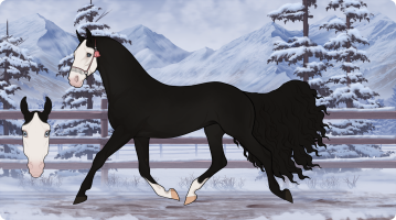 Thumbnail for 4816 ATQ Fly Me to the Moon