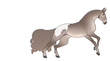 Thumbnail for 4828 LH Margarita