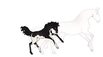 Thumbnail for 4862 CMA Magpie