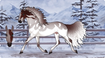 Thumbnail for 4663 FMA Half N Half