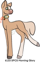 6133 SPCS Morning Glory Thumbnail