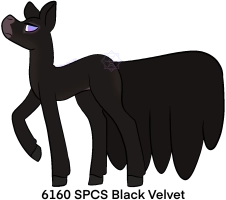 6160 SPCS Black Velvet Thumbnail