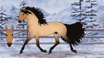 Thumbnail for 8812 RWS Western Heartbreaker