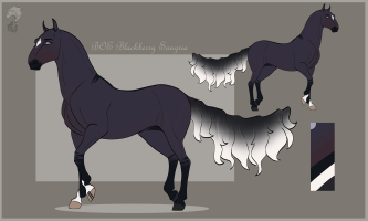 Thumbnail for 6529 BOE Blackberry Sangria