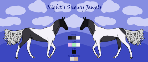 Thumbnail for 3098 KJS Night's Snowy Jewels