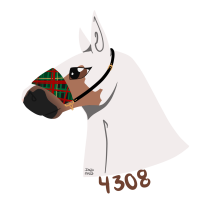 Thumbnail for 4308 EM’s Christmas Everlast