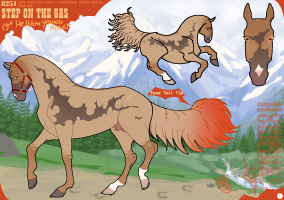 Thumbnail of 8251 Step On The Gas