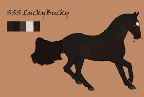 Thumbnail for 0790 SSS LuckyBucky