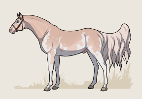 Thumbnail for 1552 Copper and Nickle