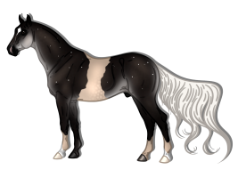 Thumbnail for 7284 A Sky full of Stars