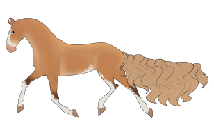 Thumbnail for 4001 Morel