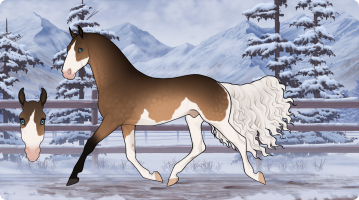Thumbnail for 6791 Buckwheat