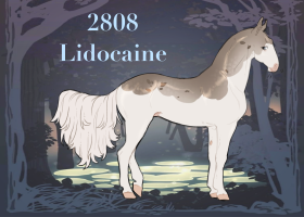 Thumbnail for 2808 Lidocaine