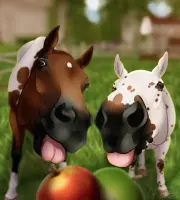 Submission thumbnail