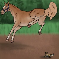 Submission thumbnail