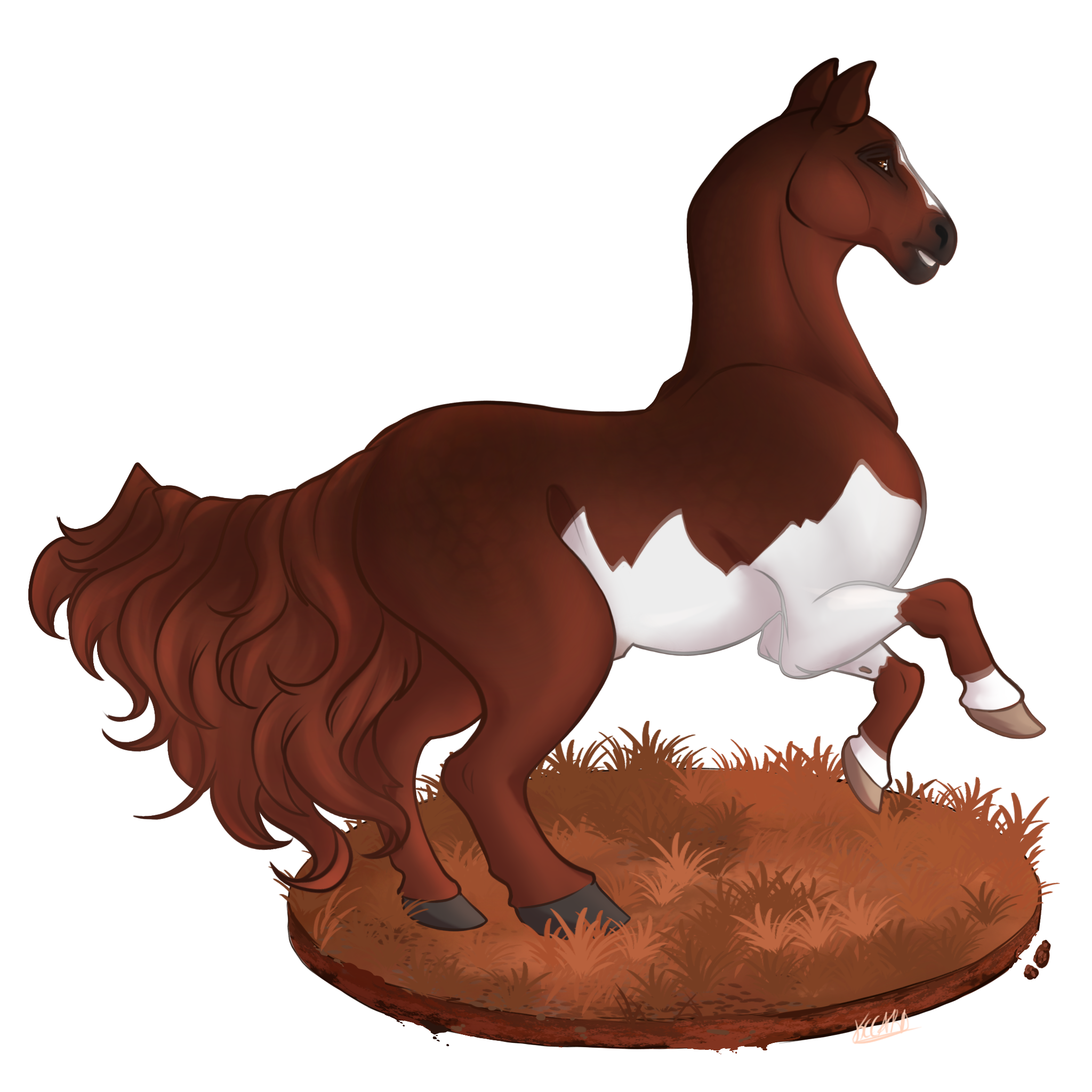 Click to view larger size AC Claim 11843