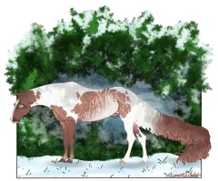 Submission thumbnail