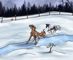 Submission thumbnail