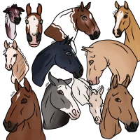 Submission thumbnail