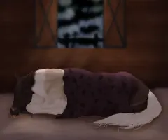 Submission thumbnail