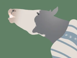 Submission thumbnail