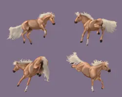 Submission thumbnail