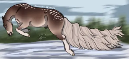 Submission thumbnail