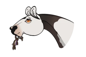 Submission thumbnail