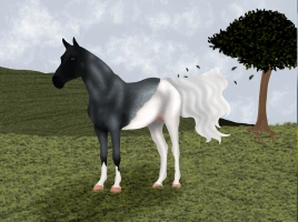 Submission thumbnail