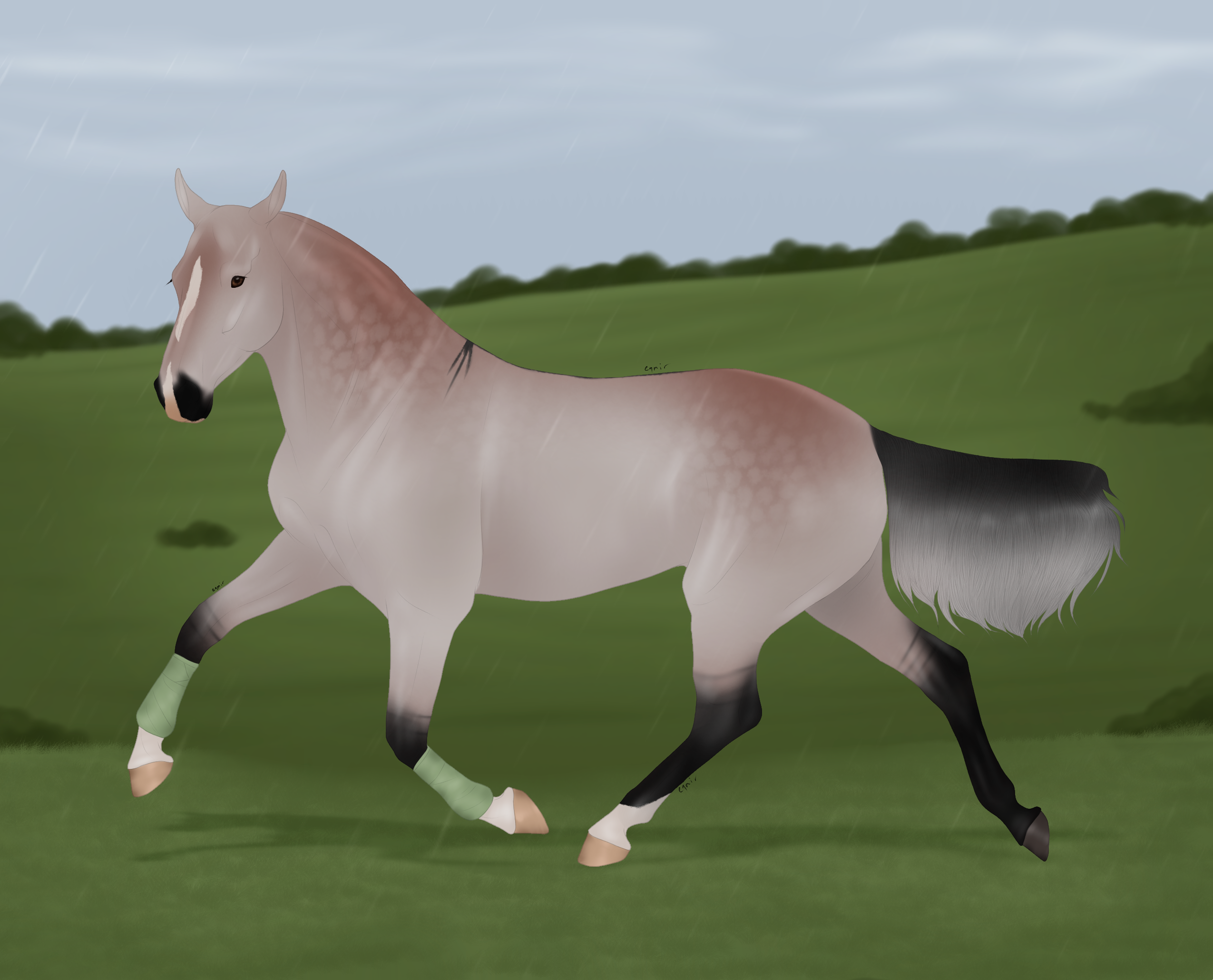 Click to view larger size 8803 Adoption