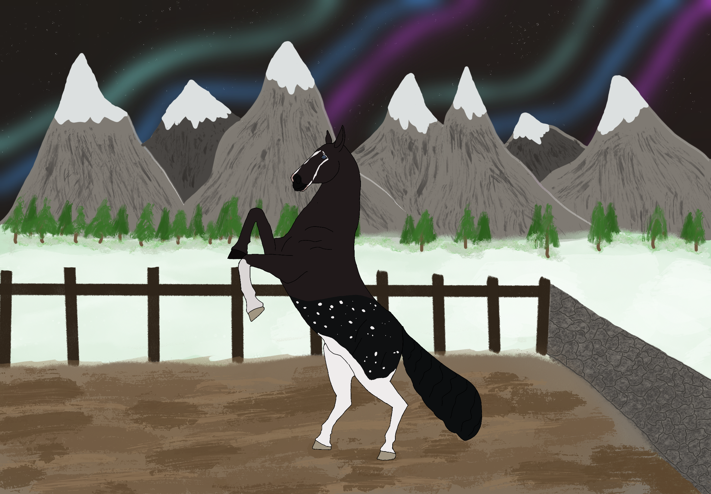 Click to view larger size A Night of Freedom