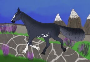 Submission thumbnail