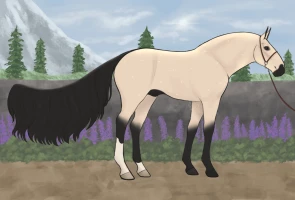 Submission thumbnail