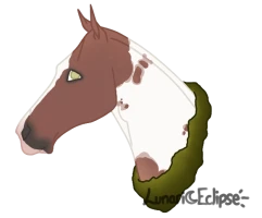 Submission thumbnail