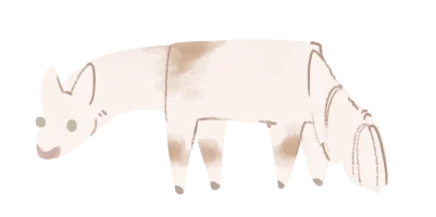 Submission thumbnail