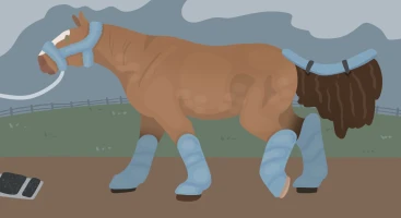 Submission thumbnail