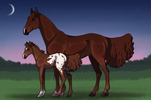 Submission thumbnail