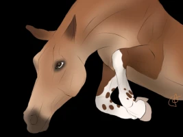 Submission thumbnail